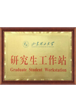 Honors and Qualifications